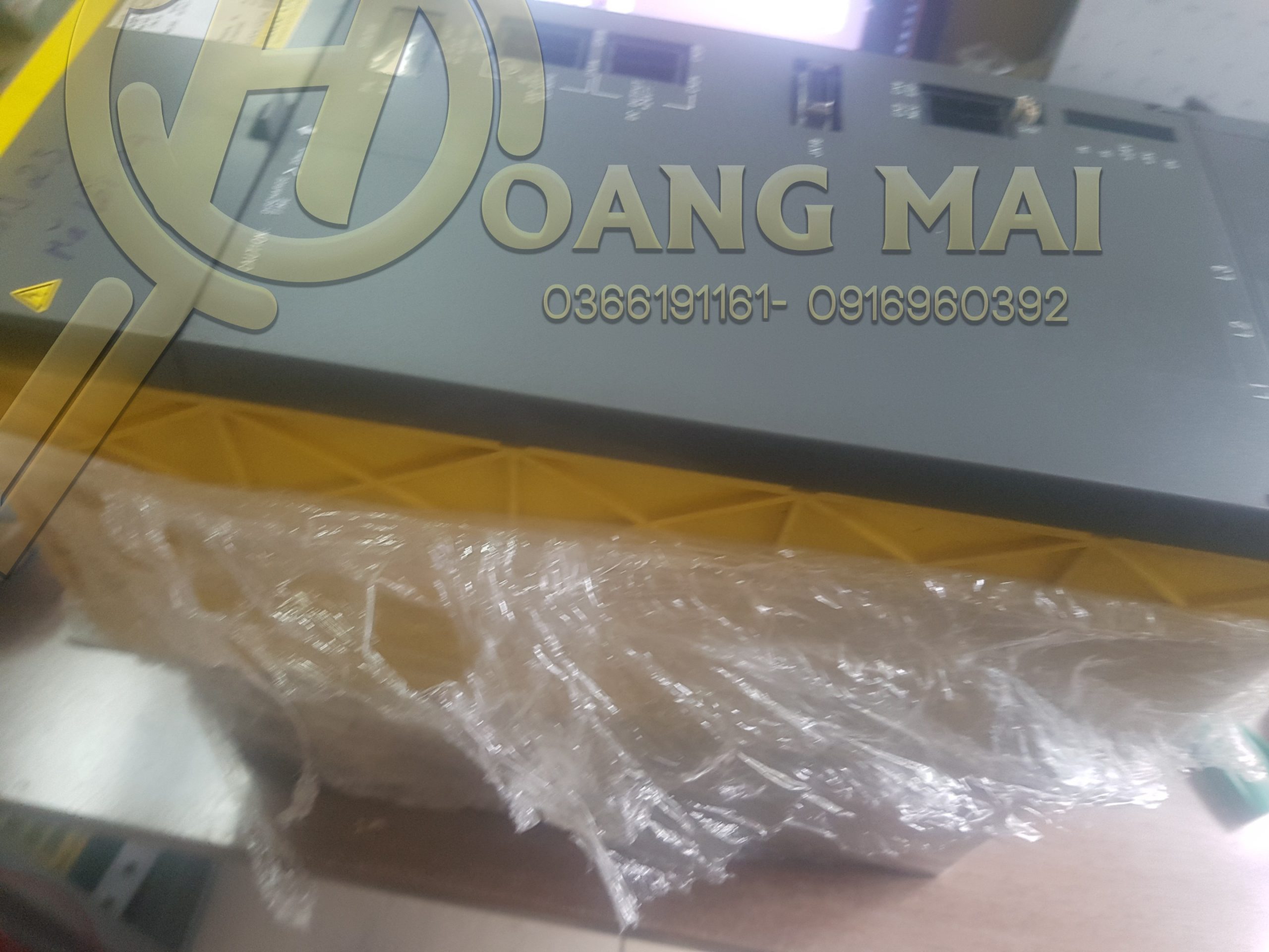 hoangmainguyen-20190729_144937-2803
