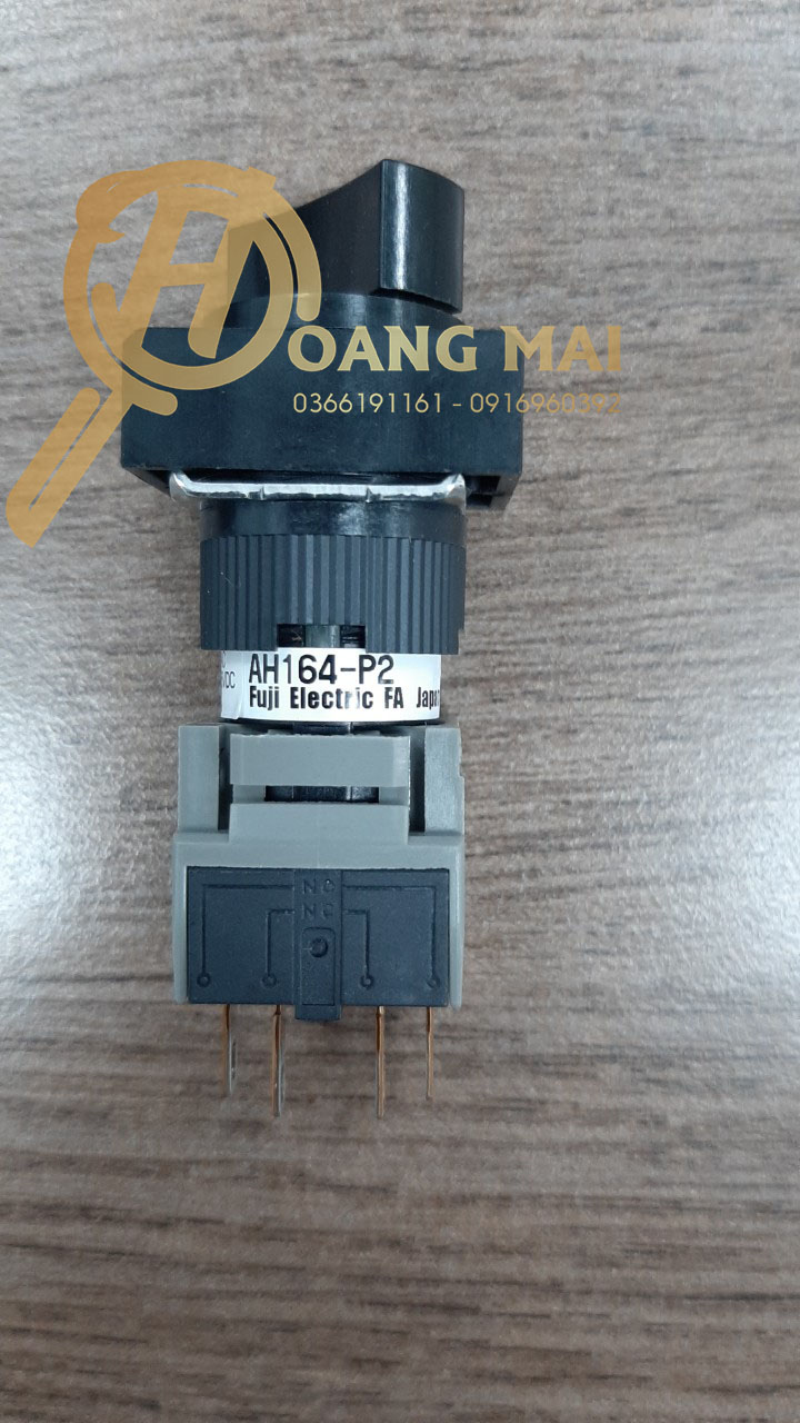 hoangmainguyen-ah164-p2-hmn-4812